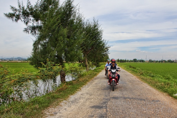 Motorbiking through the rice fields outside of Hue